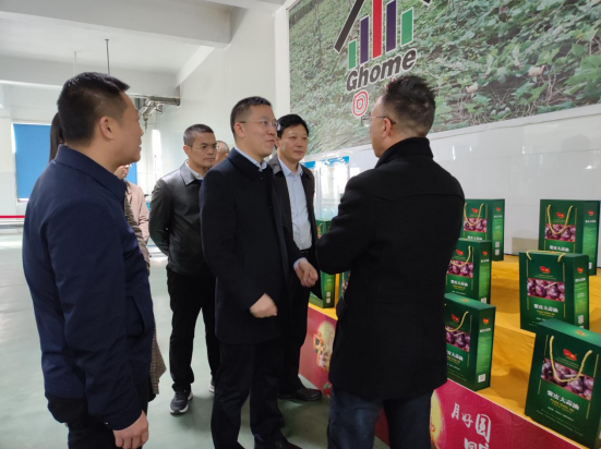 市委常委、組織部部長、統(tǒng)戰(zhàn)部部長龔紅果蒞臨天香生物調(diào)研