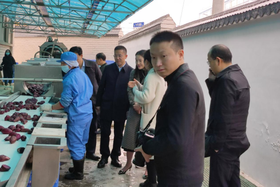 市委常委、組織部部長、統(tǒng)戰(zhàn)部部長龔紅果蒞臨天香生物調(diào)研