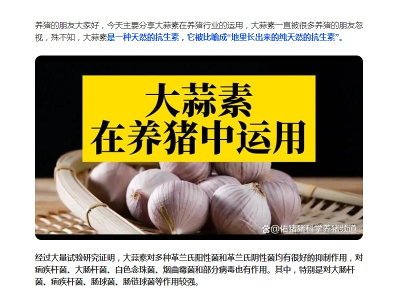 大蒜素在養(yǎng)豬行業(yè)的運(yùn)用，您了解多少？
