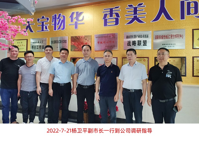 楊衛(wèi)平副市長一行到公司調(diào)研指導