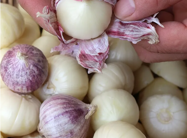 邵陽諸多農(nóng)特產(chǎn)的發(fā)源地 關于家鄉(xiāng)的雪峰山你了解多少？