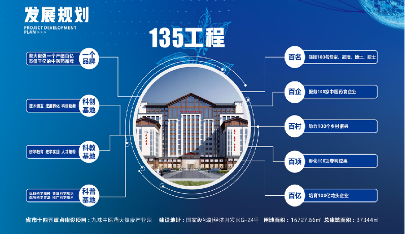 種下梧桐樹，引得鳳凰來