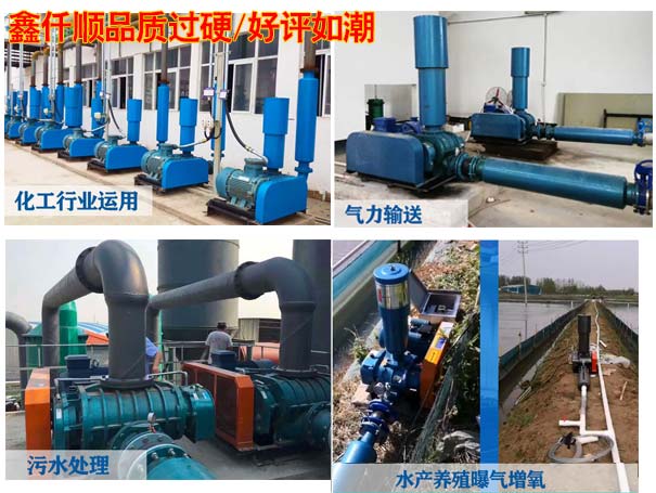 電鍍廠用羅茨風(fēng)機(jī) 電鍍廠用羅茨風(fēng)機(jī)